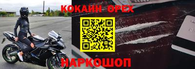 СК Бердск