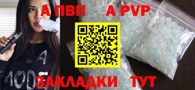 СК Бердск