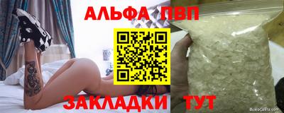 СК Бердск