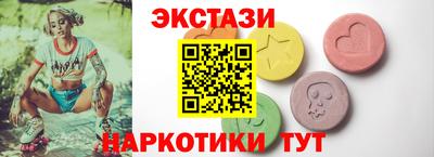 СК Бердск